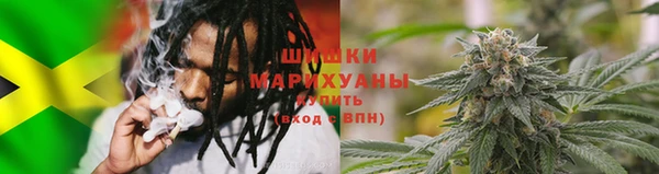 PSILOCYBIN Алексин