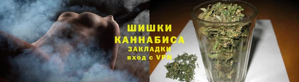 PSILOCYBIN Алексеевка