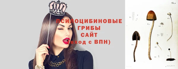 PSILOCYBIN Алексеевка