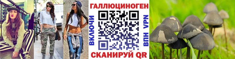 купить   Краснотурьинск  Псилоцибиновые грибы мухоморы 